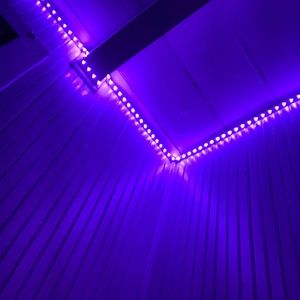 Meet your Posher, Layla